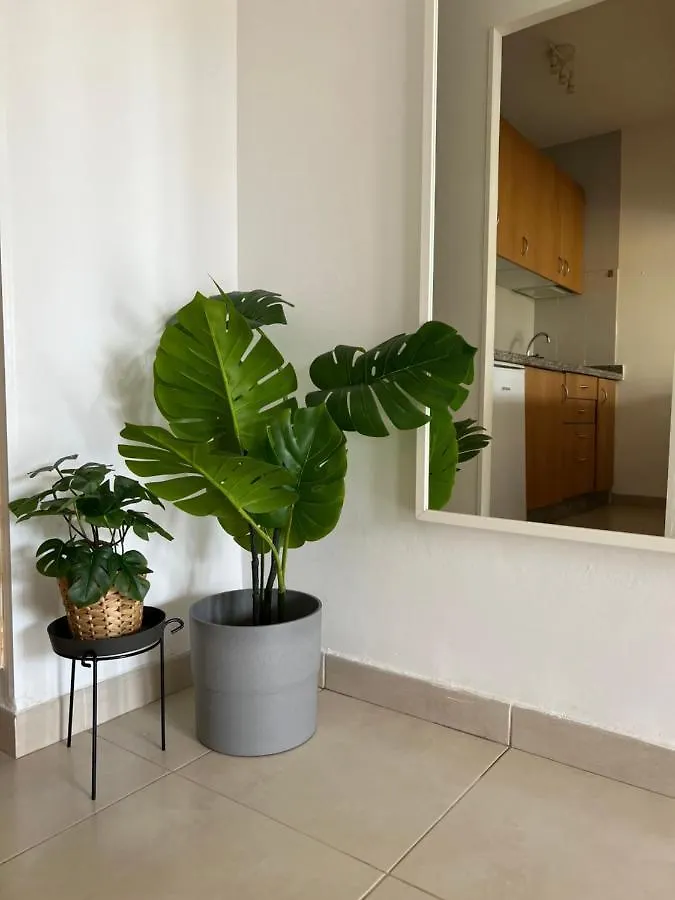 Corralejo Garden House Apartment La Oliva 0*,  Spain